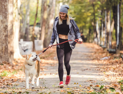 Dog sport: sempre più persone preferiscono allenarsi con i propri cani