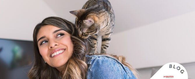 Qualche consiglio per vivere con un gatto sterilizzato
