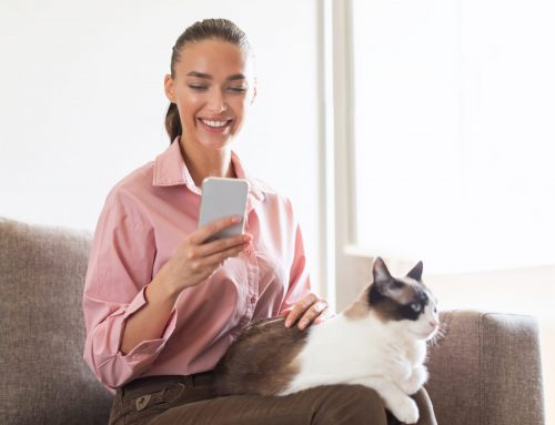 Pet e Intelligenza Artificiale: cosa cambierà?