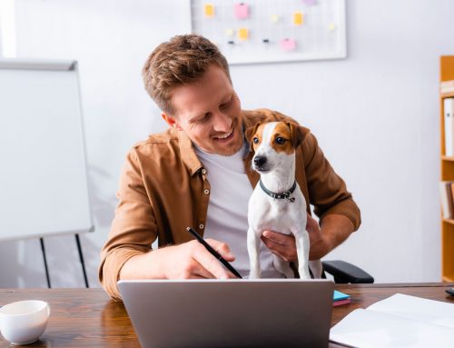 Portare il cane in ufficio: una soluzione win-win?